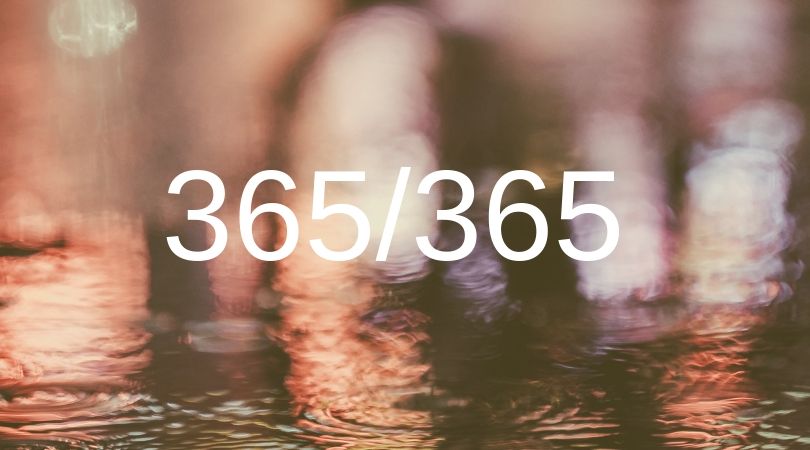 робота в Польщі, річна віза, 365